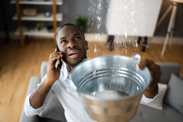 Best Water damage cleanup near me  in Grenelefe, FL
