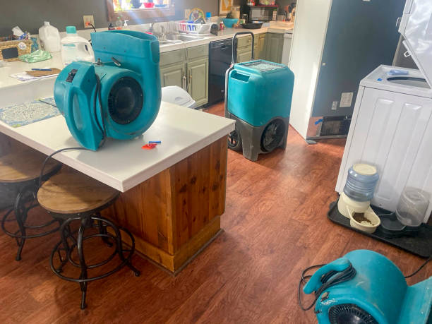 Best Flooded house restoration  in Grenelefe, FL