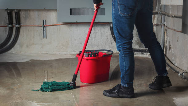 Best Water damage restoration experts  in Grenelefe, FL
