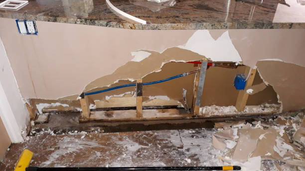 Best Ceiling water damage repair  in Grenelefe, FL