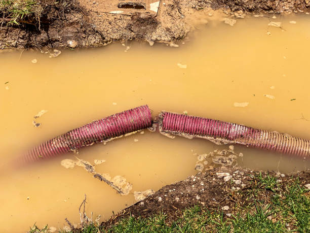 Trusted Grenelefe, FL Water damage restoration Experts